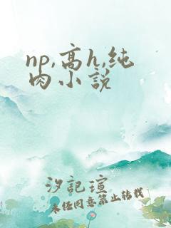 np,高h,纯肉小说