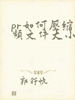 pr如何压缩视频文件大小