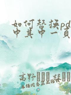 如何替换pdf中其中一页