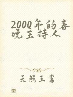 2000年的春晚主持人