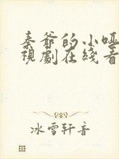秦爷的小哑巴电视剧在线看
