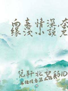 向来情深,奈何缘浅小说免费阅读