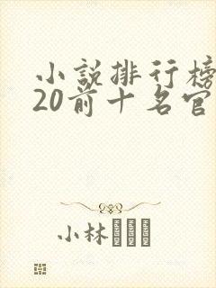 小说排行榜2020前十名官场