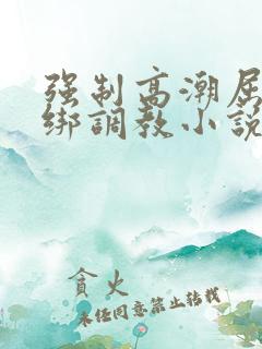 强制高潮屈辱捆绑调教小说