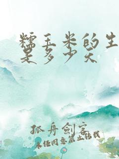 糯玉米的生长期是多少天