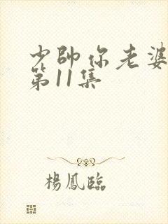 少帅你老婆又跑第11集
