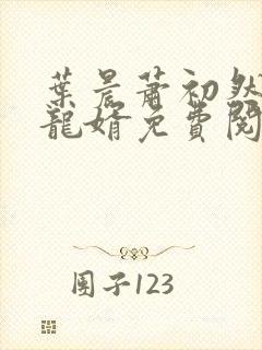 叶晨萧初然至尊龙婿免费阅读