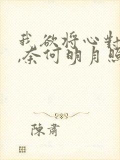 我欲将心对明月,奈何明月照沟渠的意思