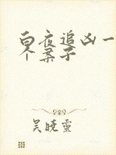 白夜追凶一共几个案子