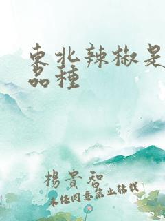 东北辣椒是什么品种
