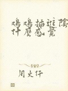 鸡鸡插进阴道是什么感觉