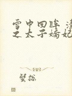 雪中回眸 清穿之太子娇妃