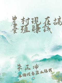 农村现在搞什么养殖赚钱