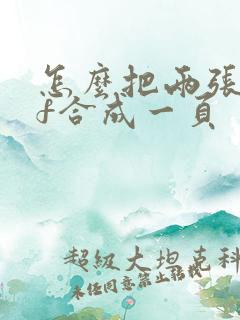 怎么把两张pdf合成一页