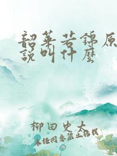 韶华若锦原著小说叫什么