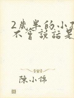 2岁半的小孩还不会说话是什么原因