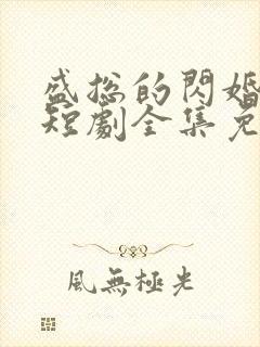 盛总的闪婚娇妻短剧全集免费观看第九十二集