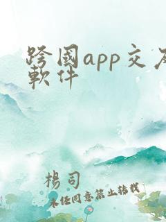 跨国app交友软件