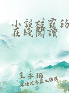 小说校霸的温柔在线阅读