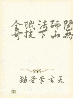 全职法师开局八奇技下山无敌免费