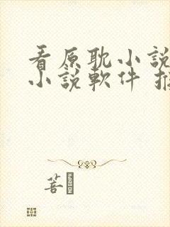 看原耽小说那个小说软件 推荐