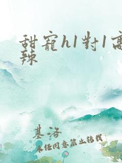 甜宠h1对1高辣