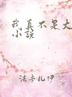 我真不是大佬 小说