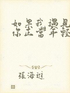 如果我遇见你而你正当年轻什么歌