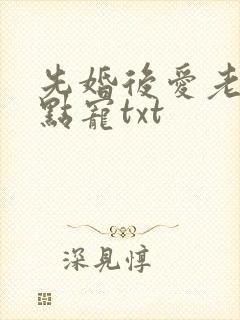先婚后爱老公轻点宠txt