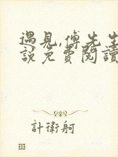 遇见,傅先生小说免费阅读