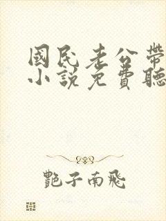 国民老公带回家小说免费听书