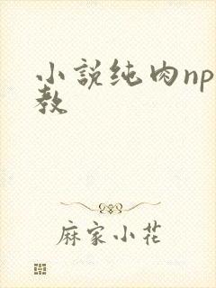 小说纯肉np调教
