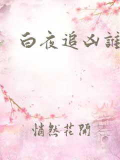 白夜追凶谁演的