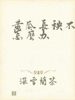 黄瓜长秧不结瓜怎么办
