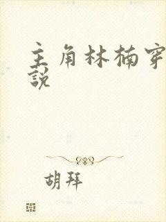 主角林楠穿越小说