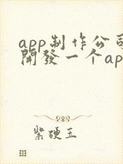 app制作公司开发一个app的价格