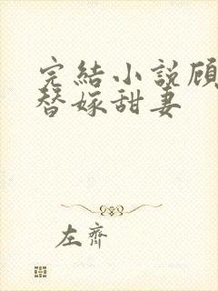 完结小说顾少的替嫁甜妻