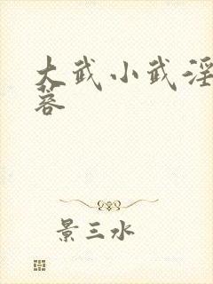 大武小武淫虐黄蓉