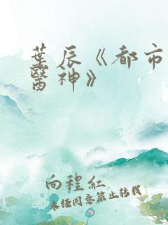 叶辰《都市极品医神》