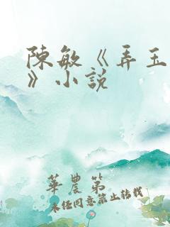 陈敏《弄玉偷香》小说