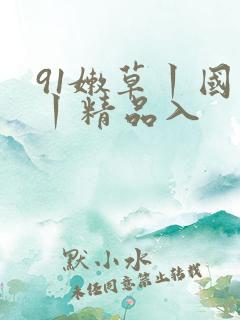 91嫩草丨国产丨精品入