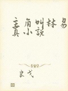 主角叫林易的修真小说