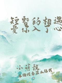 短暂的相遇,却爱你入了心