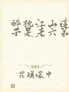 醉枕江山这个皇子是老六第二部