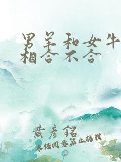 男羊和女牛的属相合不合