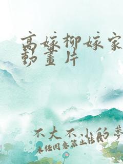 高嫁柳嫁家1集动画片