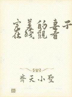 完美的妻子韩剧在线观看