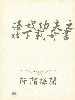 港娱功夫之王txt下载奇书网