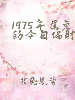 1975年属兔的今日偏财运