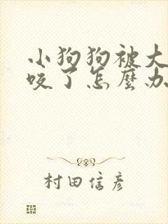 小狗狗被大狗狗咬了怎么办